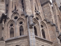 DSCF1852
