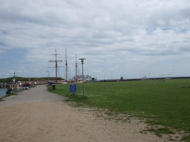 DSCF1428