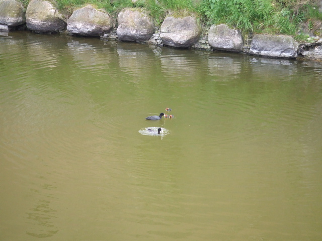DSCF1434