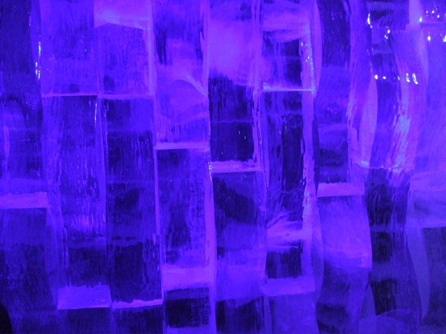 DSCF1345