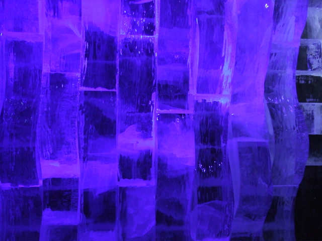 DSCF1346