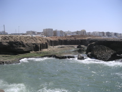 PICT0029